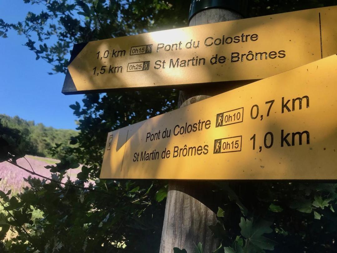 Le Colostre T2 Saint-Martin-de-Brômes Zewnętrze zdjęcie